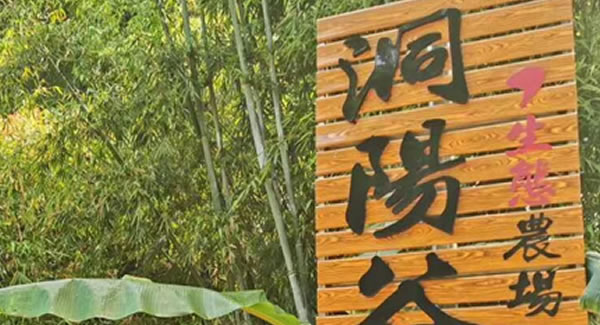 廣有合頁2019踏春拓展--經(jīng)歷中成長，成長中經(jīng)歷